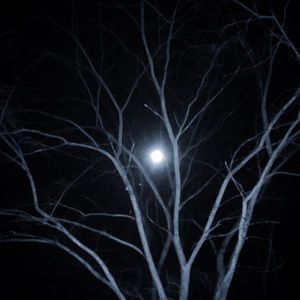 Meet your Posher, Jae